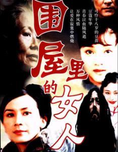 围屋里的女人电视剧,岁月流转中的情感纠葛